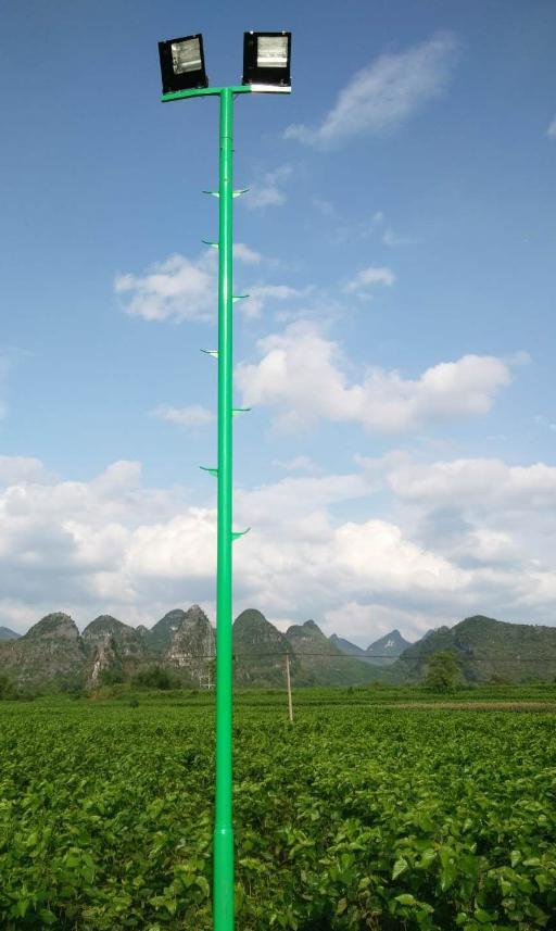 燈桿廠家成冠體育 燈桿廠家成冠體育