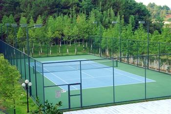 丙烯酸網球場施工 丙烯酸網球場施工